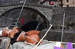 Gara delle Bighe 2011-7930